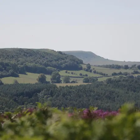 度假居 Sunset Great Edston