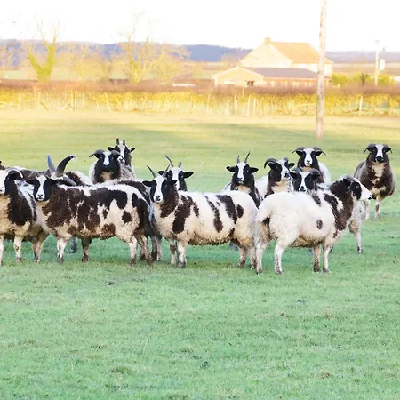 Sunset 度假居 Great Edston